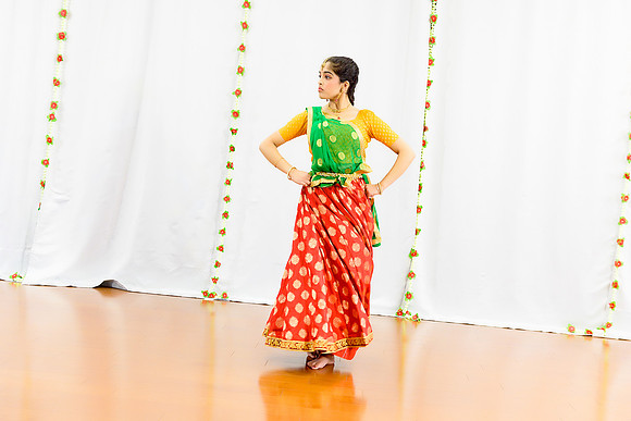 _ZSC0208