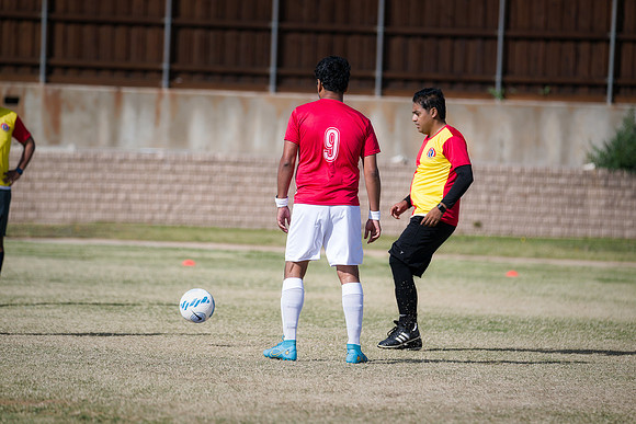 9SC_2290