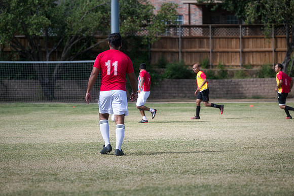9SC_2383