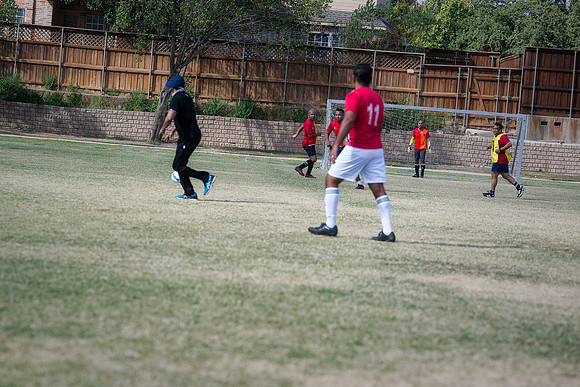 9SC_2404