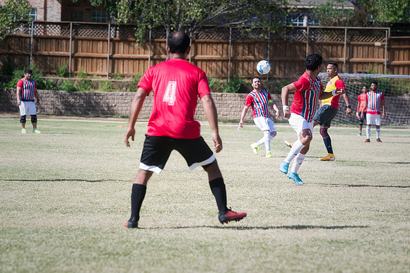 9SC_2484