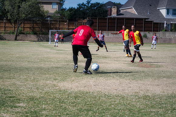 9SC_2494