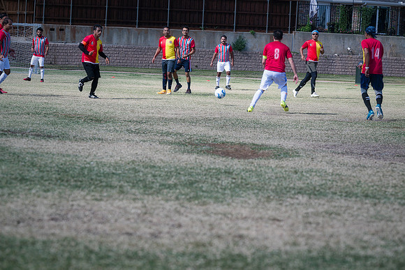 9SC_2499