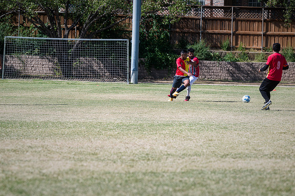 9SC_2517