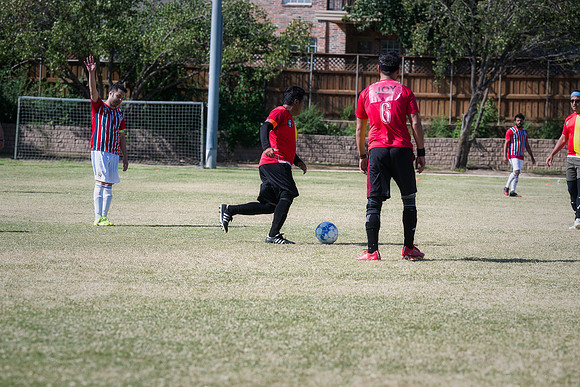 9SC_2519