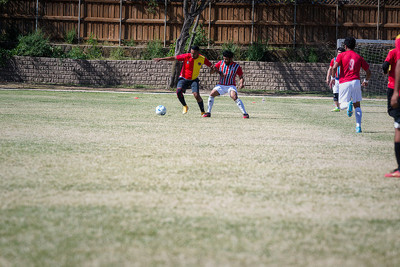 9SC_2515