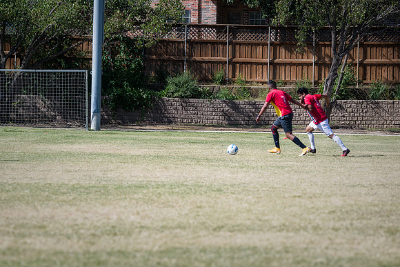 9SC_2516