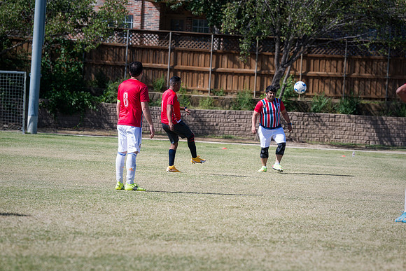 9SC_2528