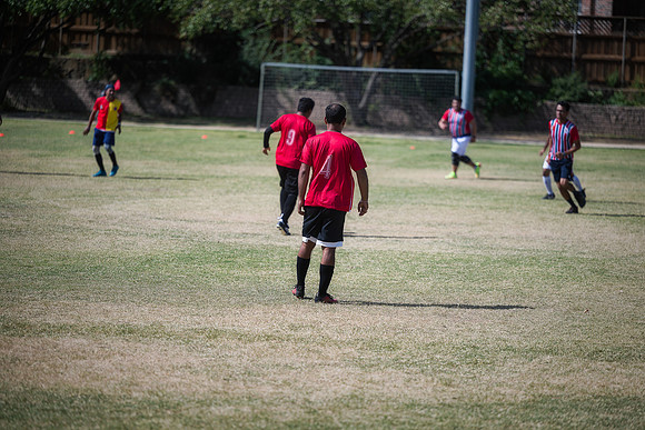 9SC_2538