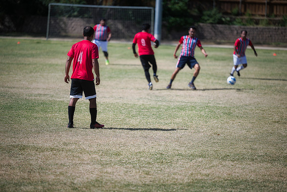 9SC_2539