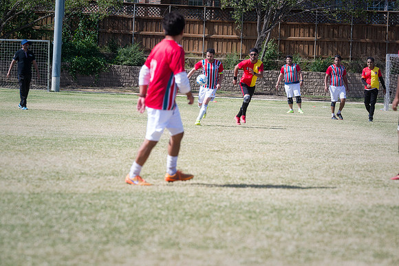 9SC_2594