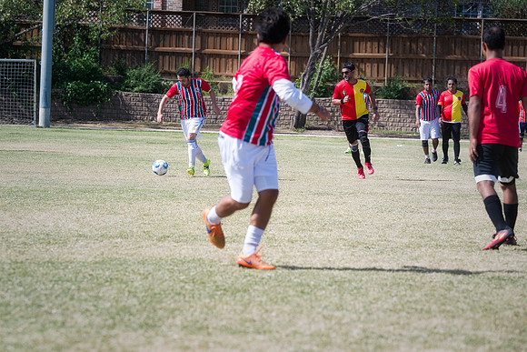 9SC_2597