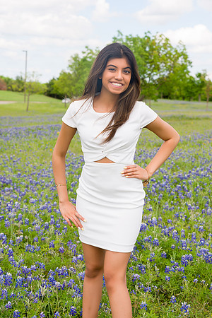 _ZSC1621