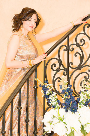 _ZSC0578