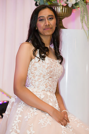 _ZSC3799
