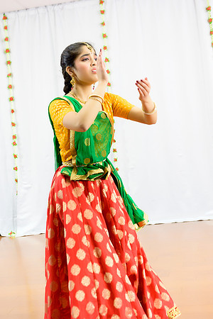 _ZSC0263