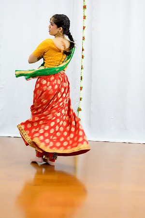 _ZSC0303