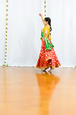 _ZSC0118