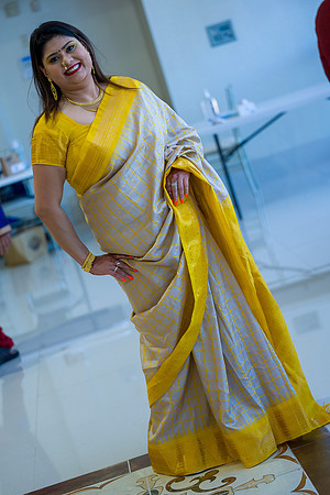 _ZSC2381